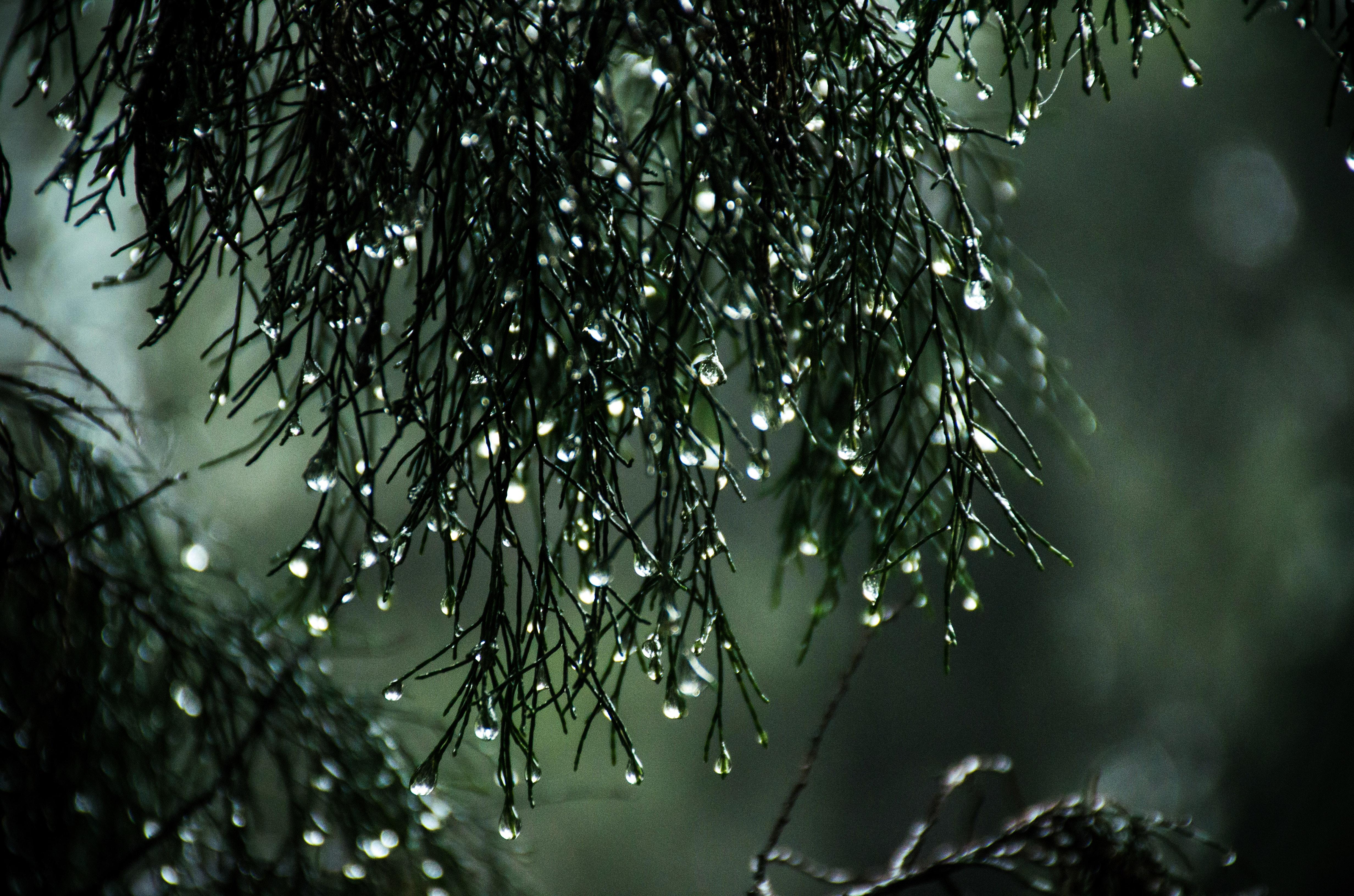 Rainy Day Nostalgia